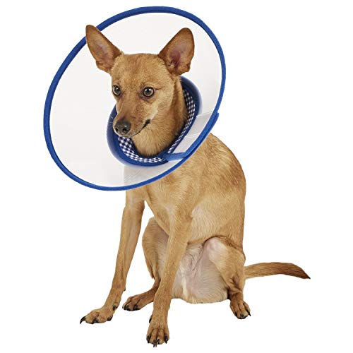 Alfie Pet Zumi Hundehalsband mit weichem Rand für Hunde und Katzen, Größe M, Blau von Alfie