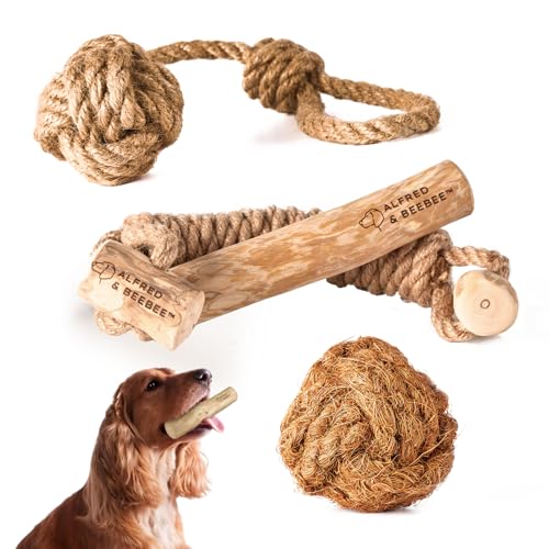 Alfred & Beebee Umweltfreundliches Hundespielzeug-Set aus Holz – 4 nachhaltige Spielzeuge für stundenlanges Spielen Alfred & Beebee Umweltfreundliches Hundespielzeug-Set aus Holz – 4 nachhaltige Spielzeuge für stundenlanges Spielen von Alfred & Beebee