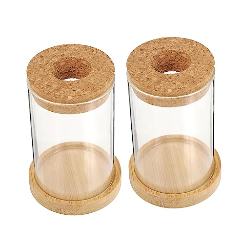 Alipis 1 Satz Eco-Flasche Evengers Einmachgläser Home Decor Terrarien Wohnraumdeko Pflanzen Bauernhaus Anlage Grün Hochzeitsdeko Links Blumenvase Hydroponik Tischvase Glas Transparent 2st von Alipis