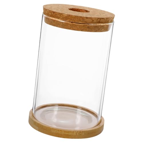Alipis 1 Satz Glasvase mit Holzstopfen hydrokulturpflanzen Terrarium ökologische Flasche leeres Terrarium Dekorative Flasche Ökosystem Terrarium transparente Flasche Einmachglas Bambus von Alipis