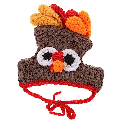 Alipis 1 Stück Handgemachte Haustier Feiermütze Strickmütze für Truthahn Halloween Weihnachten Geburtstagsfeiern und Fotoshootings von Alipis