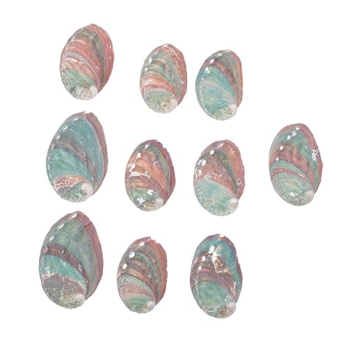 Alipis 10stücke Aquarium Natürliche Muscheldekoration DIY Fischtank Gestaltung Szenenlayout Dekoration Mit Handwerk Conch Für Aquarien Und DIY Projekte von Alipis
