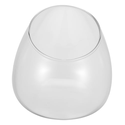 Alipis 1Stück Mikro Terrarium Blütenglasvase Glasflasche Für Sukkulenten Und Pflanzen Kreative Für Zuhause Und Büro Und Langlebig Transparentes Design von Alipis