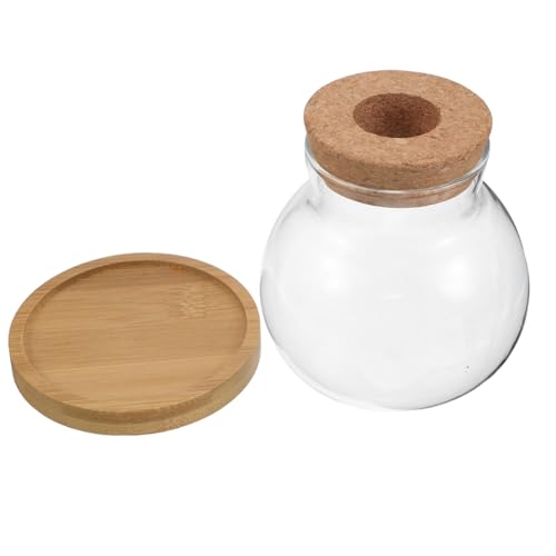 Alipis 2 Sets Hydrokultur Pflanze Glas Terrarium Schalen Mit Basis Für Indoor-anlage Decor von Alipis