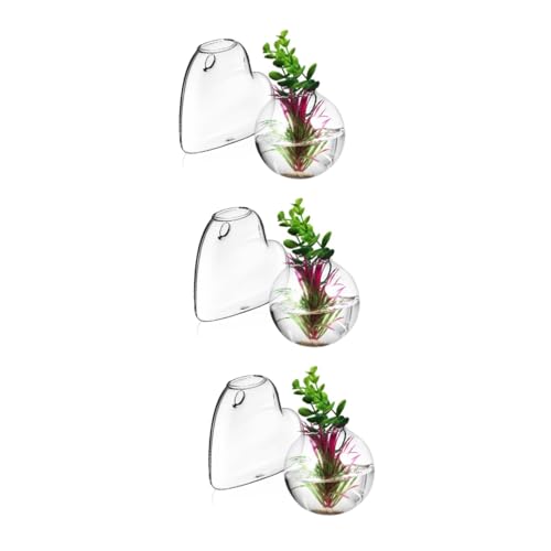 Alipis 3 Sätze Glasvase Wandpflanzgefäß Wandfischschale Glaswandpflanzer Einfache Wandmontage Halter Für Wasserpflanzen Wandpflanzer Drinnen Glas Mit Hohem Borosilikatgehalt 2 Stück * 3 Alipis 3 Sätze Glasvase Wandpflanzgefäß Wandfischschale Glaswandpflanzer Einfache Wandmontage Halter Für Wasserpflanzen Wandpflanzer Drinnen Glas Mit Hohem Borosilikatgehalt 2 Stück * 3 von Alipis