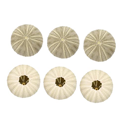 Alipis 3 Sätze Seiiger Muschelschalen Teiliges Für Kreative DIY Luftpflanzen Aquarium Landschaftsdekor Und Stilvolle Tischdekoration Wohnräume Und Bastelprojekte 6 Stücke * 3 von Alipis