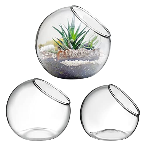 Alipis 3 Stück Glas-Terrarium-Pflanzenhalter, schräg geschnittener Übertopf, transparente Glasvase, Sukkulentenhalter, Tebletop-Dekoration, Süßigkeiten, Obst (8 + 10 + 12 cm) von Alipis