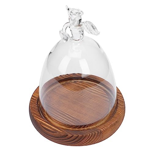 Alipis 3St Engel Glasabdeckung Vase Baum Basis für LED-Leuchten Engelförmiges Glas Glyzinien Living Room Decoration wohnzimmerdeko Tischdekoration Glasglocke dekorative Glaskuppel hölzern Alipis 3St Engel Glasabdeckung Vase Baum Basis für LED-Leuchten Engelförmiges Glas Glyzinien Living Room Decoration wohnzimmerdeko Tischdekoration Glasglocke dekorative Glaskuppel hölzern von Alipis
