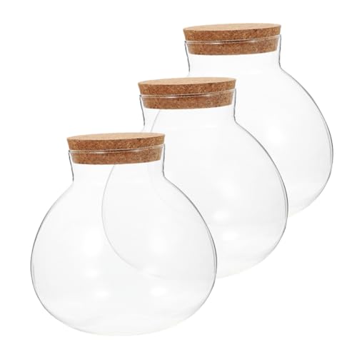 Alipis 3stücke Mikrolandschaftsflasche Ökologische Glasflasche Mit Korkverschluss Terrarium-Dekoration Transparent Und von Alipis