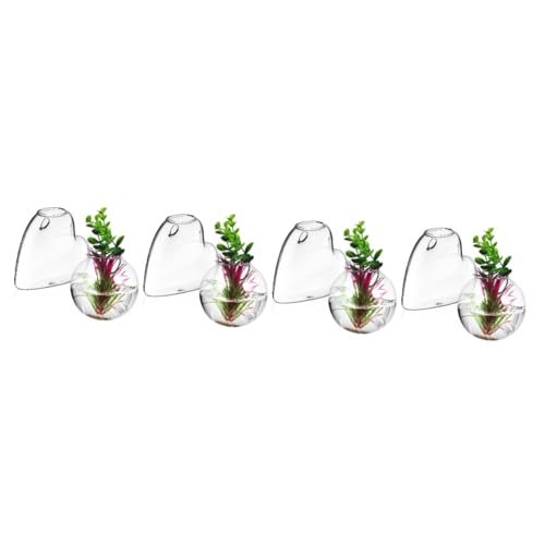 Alipis 4 Sätze Glasvase Ausbreitung Wandbehang Vermehrte Pflanzengläser Terrarienständer Hängende Pflanzgefäße Für Zimmerpflanzen Glas Mit Hohem Borosilikatgehalt 2 Stück * 4 Alipis 4 Sätze Glasvase Ausbreitung Wandbehang Vermehrte Pflanzengläser Terrarienständer Hängende Pflanzgefäße Für Zimmerpflanzen Glas Mit Hohem Borosilikatgehalt 2 Stück * 4 von Alipis