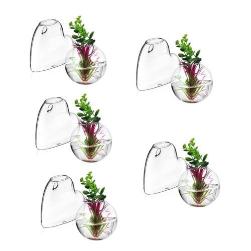 Alipis 5 Sätze Glasvase Wandhängendes Pflanzenregal Hängende Blumentöpfe Pflanzenterrarium Hängende Töpfe Pflanzenwandaufhänger Pflanzenständer Glasvermehrungsstation 2 Stück * 5 Alipis 5 Sätze Glasvase Wandhängendes Pflanzenregal Hängende Blumentöpfe Pflanzenterrarium Hängende Töpfe Pflanzenwandaufhänger Pflanzenständer Glasvermehrungsstation 2 Stück * 5 von Alipis