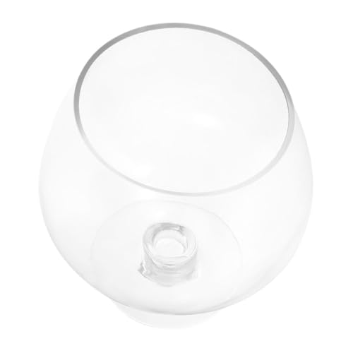 Alipis Fischglas Aquarium Hydroponisches Pflanzengefäß im Goblet Stil für Schreibtisch und Kleine Räume Dekorativ und Funktional von Alipis