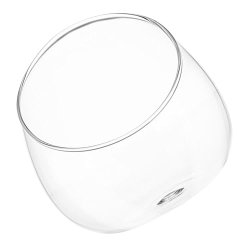 Alipis Glas Terrarium Vase Schrägschnitt Bubble Bowl Mikrolandschaft Pflanzgefäß für Sukkulenten Air Plants Tischdeko Geschenkidee mit Hoher Transparenz Langlebig Vielseitig von Alipis