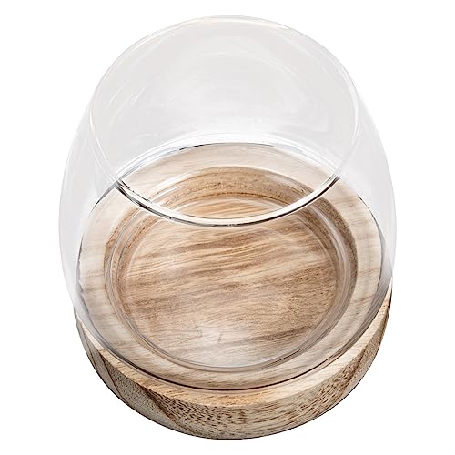 Alipis Glasvase Aquarium Kleines Glas Fischglas Kleines Fischglas Fischglas Fischvase Landschaftskunst Flasche Fischwasserschale Aquariumschale Aquarium Pflanzgefäß Alipis Glasvase Aquarium Kleines Glas Fischglas Kleines Fischglas Fischglas Fischvase Landschaftskunst Flasche Fischwasserschale Aquariumschale Aquarium Pflanzgefäß von Alipis