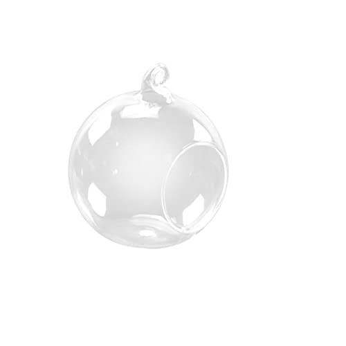 Alipis Hängendes Pflanzenterrarium Aus Transparente Terrarium Vase Für Luftige Pflanzen Und Mikrogärten Für Dekoration Im Innen Und Außenbereich von Alipis