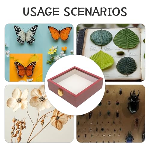 Alipis Insektenvitrine, Schattenbox mit durchsichtiger Oberseite, Aufbewahrungsbox für Insektenproben, Schmetterlingshalter aus Holz zum Sammeln von Proben, 5,89 x 5,89 x 1,77 Zoll von Alipis