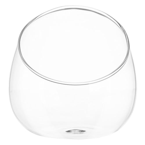 Alipis Klares Glasvase Mikrolandschaft Schrägschnitt Bubble Bowl Pflanzenterrarium Dekorative Tischdekoration für Sukkulenten Moos Büros Wohnzimmer Langlebig und Vielseitig Einsetzbar von Alipis