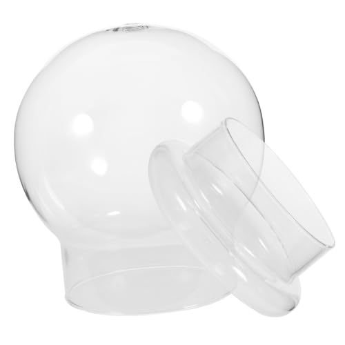 Alipis Landschaftsflasche DIY Sukkulenten Flasche Glaskuppel Vertikales Terrarium Glaspflanzen Flasche Terrarium Glas Dekorative Landschaftsflasche Glaskuppel Mit Sockel Alipis Landschaftsflasche DIY Sukkulenten Flasche Glaskuppel Vertikales Terrarium Glaspflanzen Flasche Terrarium Glas Dekorative Landschaftsflasche Glaskuppel Mit Sockel von Alipis