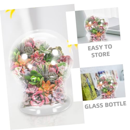 Alipis Mikrolandschaft Glasflasche Rundes DIY Pflanzen Terrarium für Sukkulenten Desktop Deko Transparente Ökologische Glasvase mit Großem für Moos Kompakt Leichter Pflanzbehälter Alipis Mikrolandschaft Glasflasche Rundes DIY Pflanzen Terrarium für Sukkulenten Desktop Deko Transparente Ökologische Glasvase mit Großem für Moos Kompakt Leichter Pflanzbehälter von Alipis