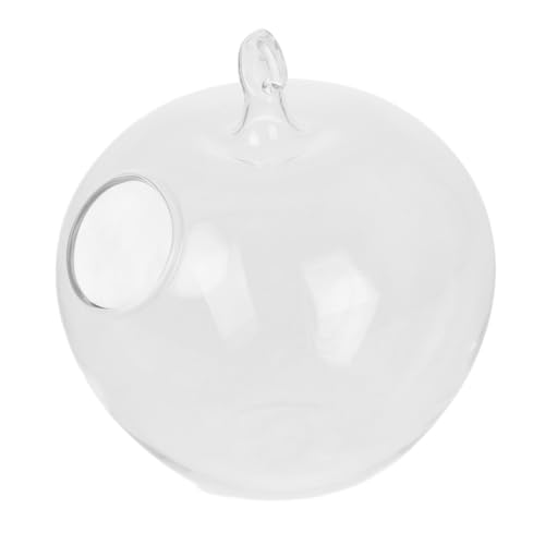 Alipis Mikrolandschafts-Apfel-Aquarium Mini-Aquarium Zylinder Fischglas Blasenschale Aus Glas Fischglas Ornament-präsentationsständer Luftpflanzen Terrarium Transparent Metall von Alipis