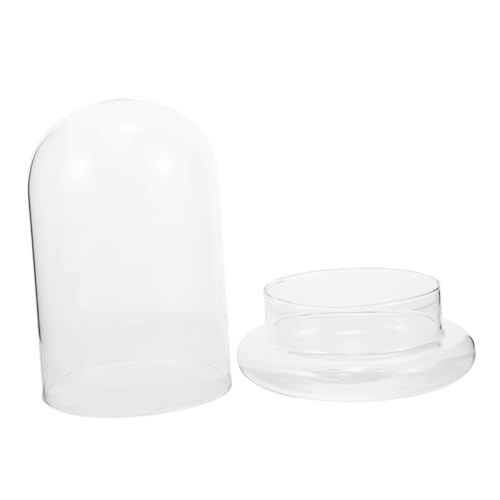 Alipis Moos-Öko-Flasche Anlage Aquarium Terrarium moos groß Mini Mikro Schreibtisch-Terrarium Vase für die Heimdekoration Terrarienflasche klare Vase Gla -Terrarium Glas Transparent Alipis Moos-Öko-Flasche Anlage Aquarium Terrarium moos groß Mini Mikro Schreibtisch-Terrarium Vase für die Heimdekoration Terrarienflasche klare Vase Gla -Terrarium Glas Transparent von Alipis