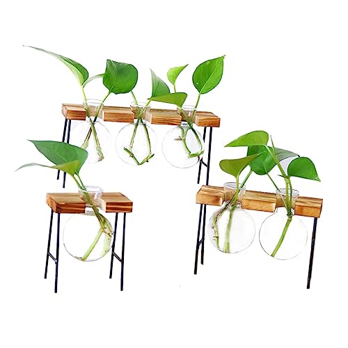 Alipis Runde Glas Blumenvase Mit Holzrahmen Kreative Hydroponik Pflanzgefäße Für Wohnkultur Terrarium Für Pflanzenpflege Und Dekoration von Alipis