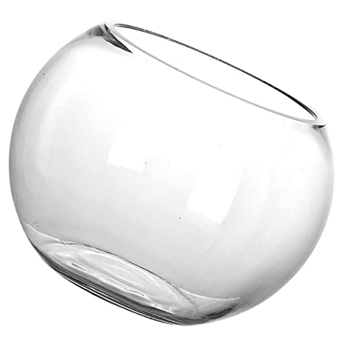 Alipis Rundes Fischbecken Fischglas Fischbecken klein drinnen Fischschalen für Desktop-Aquarium erste Clear Fish Bowl lebender Fischbehälter Klare Glasfischschale Aquariumtank Transparent von Alipis