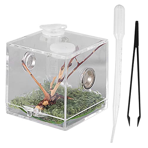 Alipis Kasten Springspinnen-zuchtbox Reptilien-Terrarium-kit Pet Tank Frosch Träger Brutbehälter Für Spinnen Gecko-lebensraum Lebensmittelbehälter Cricket Käfig Acryl Springende Spinne von Alipis