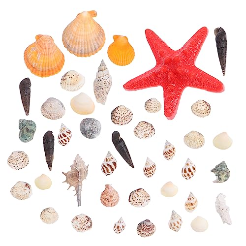 Alipis Strandmuscheln Mit Meeresschnecken Für Mikrolandschaftsdekor Natürliche Muscheln Als DIY-zubehör Für Aquarium Und Heimdekoration Alipis Strandmuscheln Mit Meeresschnecken Für Mikrolandschaftsdekor Natürliche Muscheln Als DIY-zubehör Für Aquarium Und Heimdekoration von Alipis