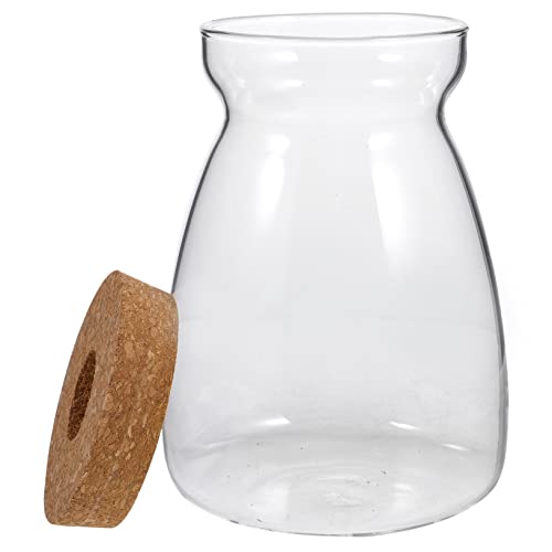 Alipis Terrarium Behälter Mit Deckel Hydroponisches Pflanzen-ökosystem Für Sukkulenten Und Miniaturgärten Großer Transparenter Mikrolandschaftscontainer Für Innenräume von Alipis