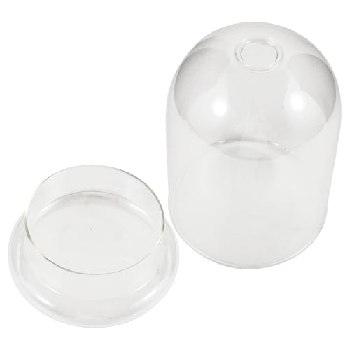 Alipis Transparentes Glas Terrarium Vase mit Großem Langlebige Glasflasche für DIY Mikro Landschaft Dekorative Pflanzenglocke für Zimmer Büro und Garten Kreative Ökosystem Deko von Alipis