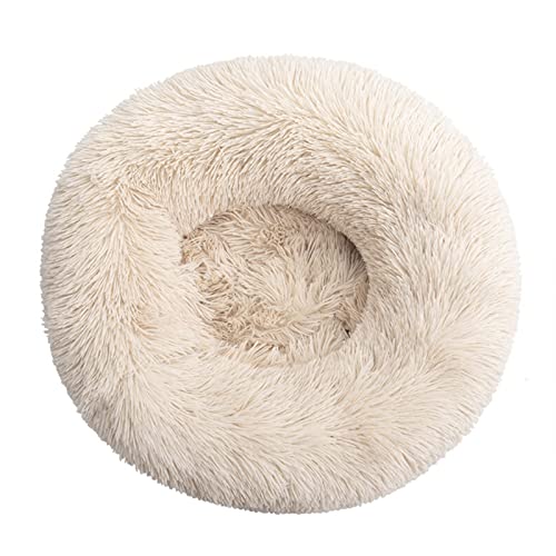 Aliuciku Super Weiches Hundebett, Plüsch Katzenmatte Rundes Hundebetten Haustier Kissen(Apricot,100x100cm) von Aliuciku