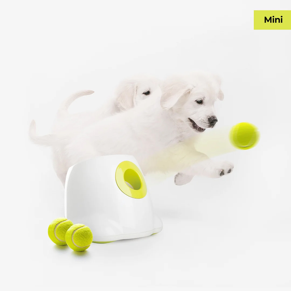 AFP Automatic Ball Launcher Mini AFP Automatic Ball Launcher Mini von All For Paws