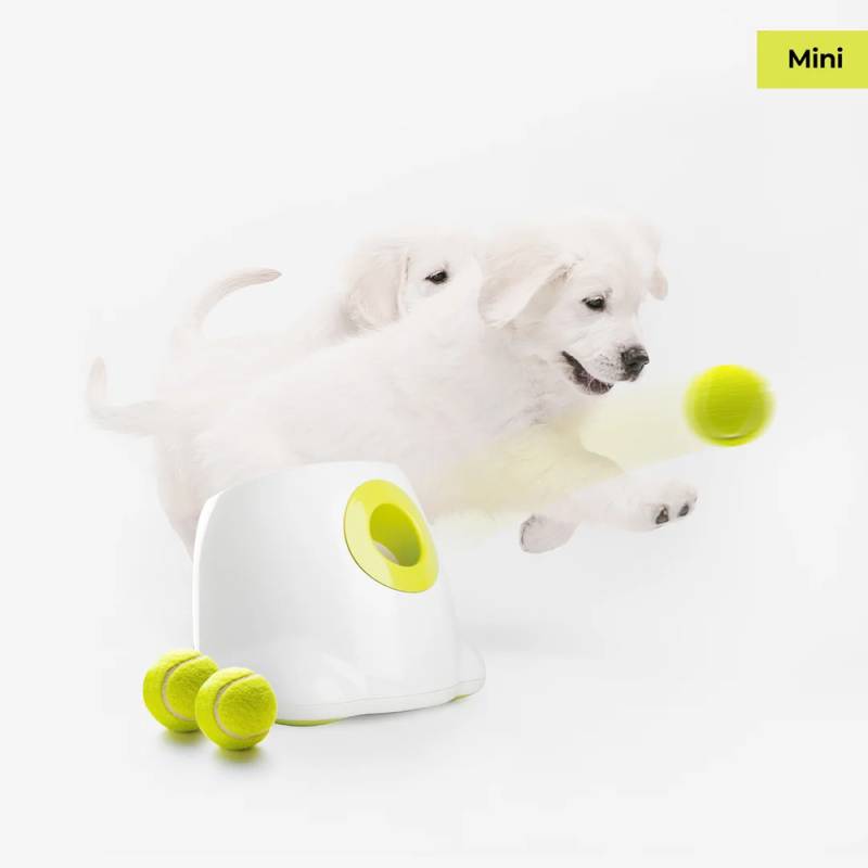 AFP Automatic Ball Launcher Mini AFP Automatic Ball Launcher Mini von All For Paws