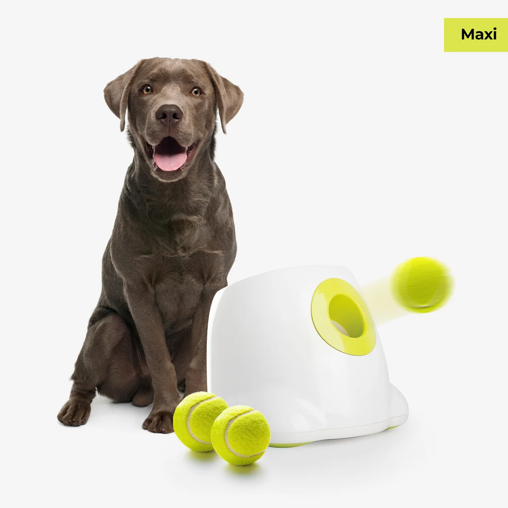AFP Interactive Automatic Ball Launcher Maxi AFP Interactive Automatic Ball Launcher Maxi von All For Paws
