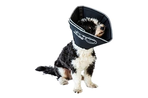 All Four Paws „The Comfy Cone“ Halskrause für Haustiere,Small 14 cm von All Four Paws