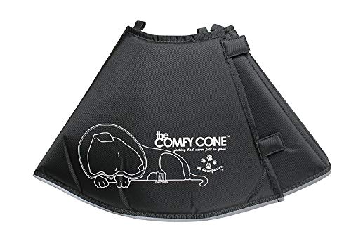 All Four Paws „The Comfy Cone“ Halskrause für Haustiere, Small All Four Paws „The Comfy Cone“ Halskrause für Haustiere, Small von All Four Paws