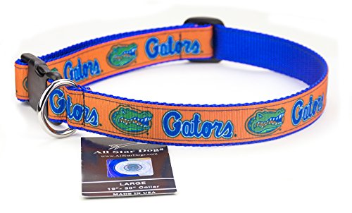 All Star Dogs Florida Gators Ribbon Hundehalsband – Größe M von All Star Dogs