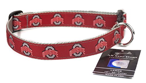 All Star Dogs Ohio State Buckeyes Band Hundehalsband, Sm 1in w - Fits 8in-12in, Rot von All Star Dogs