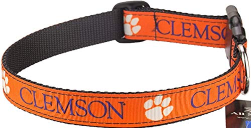 Collegiate Hundehalsband, Clemson Tigers, Größe M von All Star Dogs