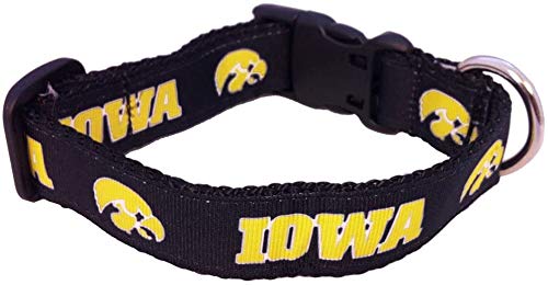 Collegiate Hundehalsband, Größe L, Iowa Hawkeyes von All Star Dogs