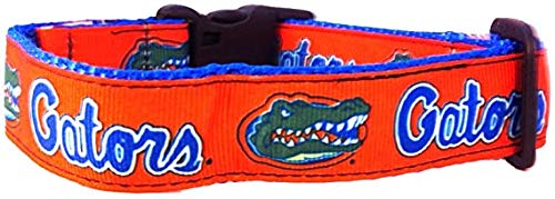 Collegiate Hundehalsband, Größe S, Florida Gators von All Star Dogs