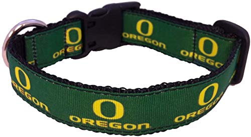 Collegiate Hundehalsband, Oregon Ducks, Größe L von All Star Dogs