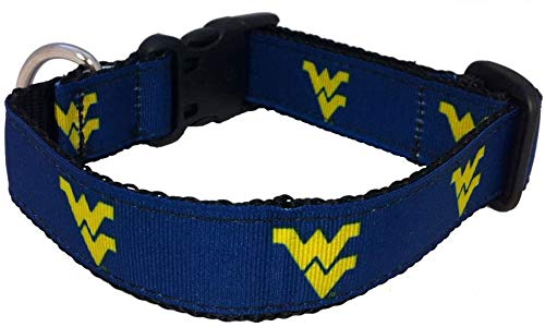 Collegiate Hundehalsband, West Virginia Mountaneers, Größe M von All Star Dogs