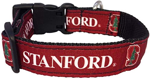 Collegiate Hundehalsband, groß, Stanford Cardinals von All Star Dogs