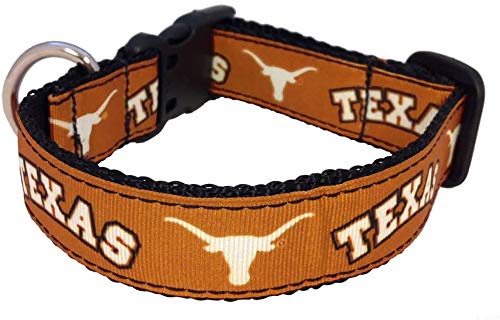 Collegiate Hundehalsband, groß, Texas Longhorns von All Star Dogs