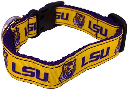 Collegiate Hundehalsband (klein, LSU Tigers) von All Star Dogs