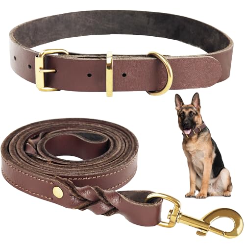 1,5 Meter Premium Leder Hundeleine und Halsband Set für stilvolle Hunde, weiches Lederhalsband und Starke doppelt geflochtene Leine, bequemes und sicheres Hundetraining, Spielen (Mittelgroß) von All for U Incorporated