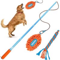 All for paws Hunde Flirt Pole Teleskopstab mit Football Seil All for paws Hunde Flirt Pole Teleskopstab mit Football Seil von All for paws