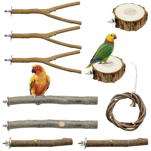 Allazone 10 Stück Natur Sitzstangen Set für Vögel, Sitzstangen Vögel, Papageien Sitzstangen aus Naturholz für Kleine Sittiche, Nymphensittiche, Sperlingspapageien Allazone 10 Stück Natur Sitzstangen Set für Vögel, Sitzstangen Vögel, Papageien Sitzstangen aus Naturholz für Kleine Sittiche, Nymphensittiche, Sperlingspapageien von Allazone